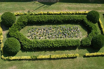 Image showing Garden