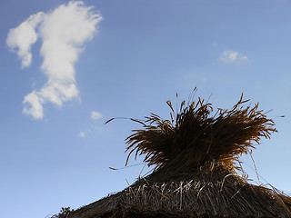 Image showing Straw and Cloud