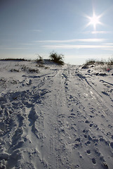 Image showing Sun and Snow