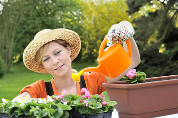 Image showing Young woman watering flowers