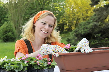 Image showing Woman planting flowers