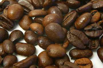 Image showing coffee beans