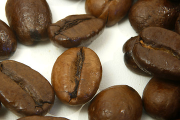 Image showing coffee beans