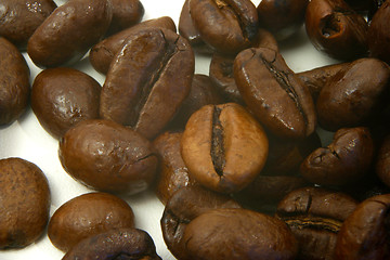 Image showing coffee beans