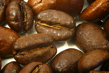 Image showing coffee beans