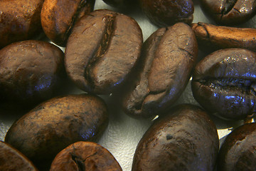 Image showing coffee beans