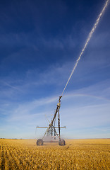 Image showing Wheat field irrigation