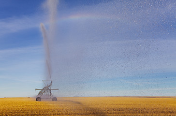 Image showing Irrigation spray