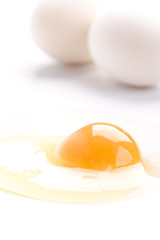 Image showing white chicken eggs