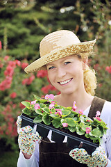 Image showing Woman with container-grown plants