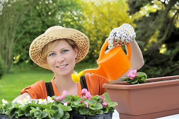 Image showing Young woman watering flowers