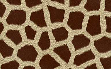 Image showing giraffe texture background