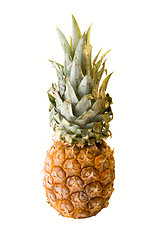 Image showing pineapple