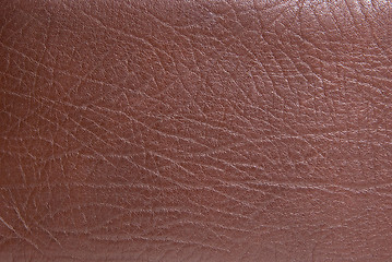 Image showing leather texture