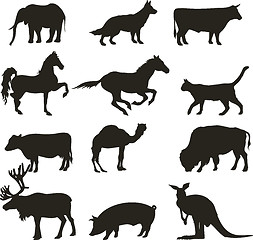 Image showing vector animals 