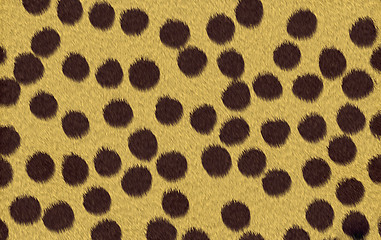 Image showing cheetah texture background