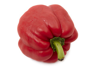 Image showing Red paprika