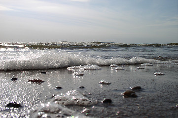 Image showing Sea Spatter