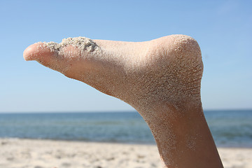 Image showing Foot