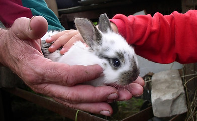 Image showing Rabbit and People