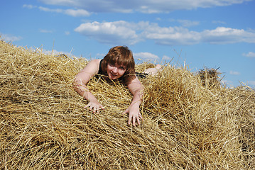 Image showing hay