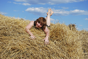 Image showing hay