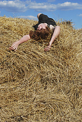 Image showing hay