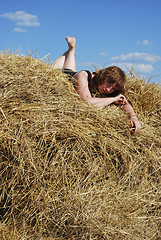 Image showing hay