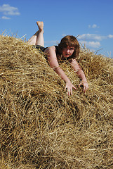 Image showing hay