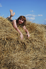 Image showing hay