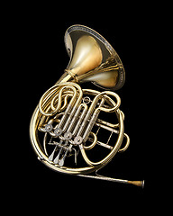 Image showing French horn