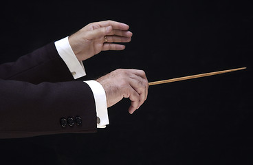 Image showing Hands of the director