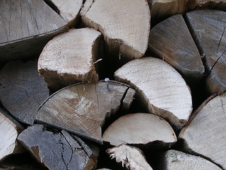 Image showing firewood