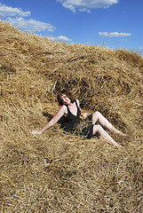 Image showing hay