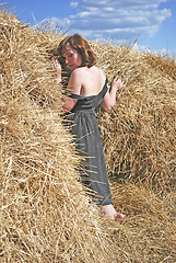 Image showing hay