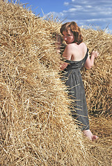 Image showing hay