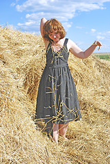 Image showing hay