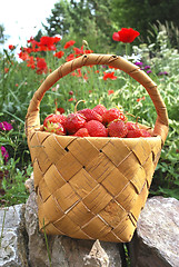 Image showing basket of the strawberries