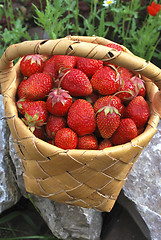 Image showing basket of the strawberries