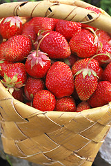 Image showing basket of the strawberries