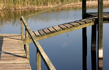 Image showing Swamp