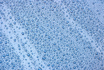 Image showing Droplets