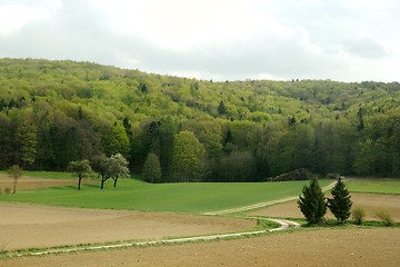 Image showing Landscape