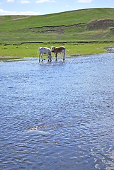 Image showing river