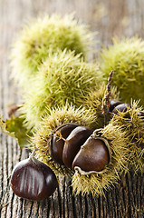 Image showing Chestnut