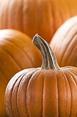 Image showing Pumpkin