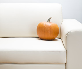 Image showing Pumpkin