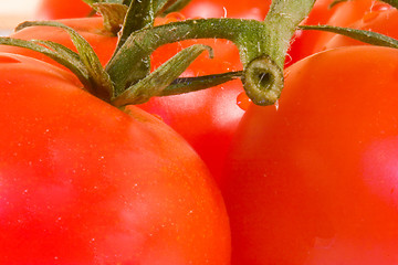 Image showing Tomatoes