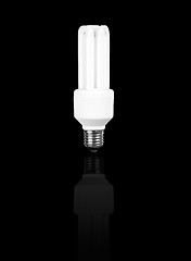 Image showing Fluorescent Light Bulb