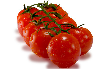 Image showing Tomatoes isolated on white with clipping path